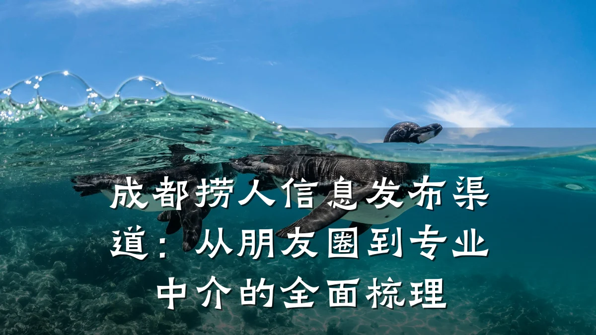 成都捞人信息发布渠道:从朋友圈到专业中介的全面梳理