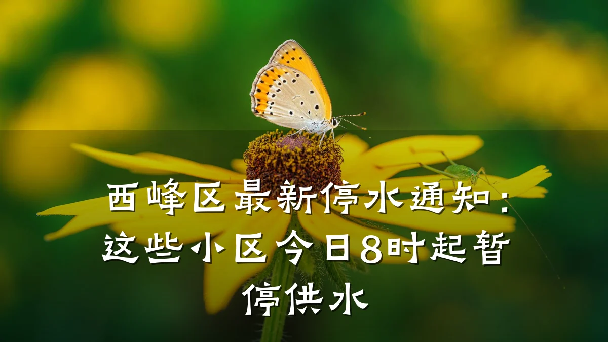 西峰区最新停水通知:这些小区今日8时起暂停供水