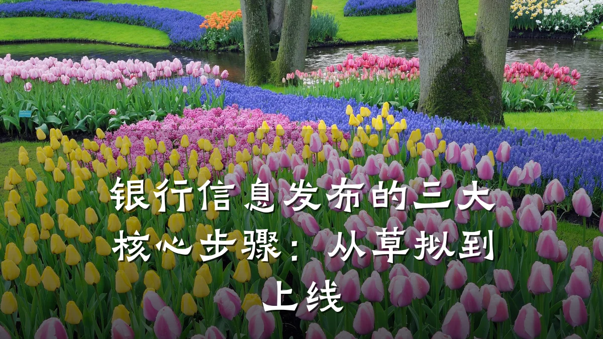 银行信息发布的三大核心步骤:从草拟到上线