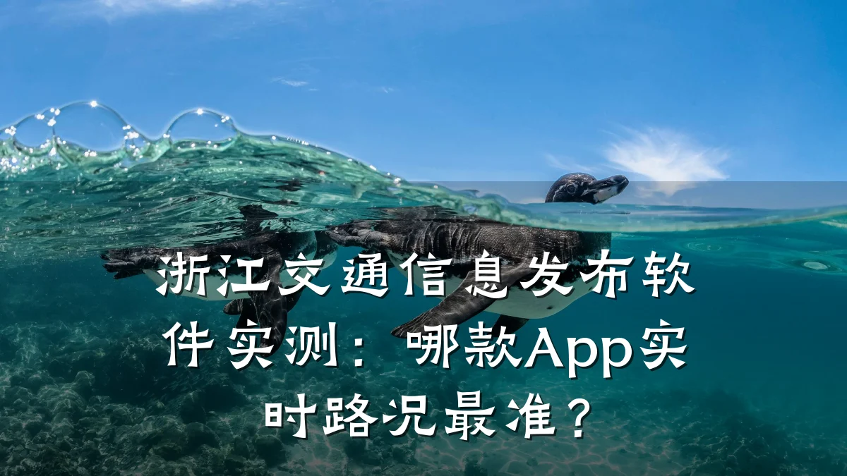 浙江交通信息发布软件实测:哪款App实时路况最准?